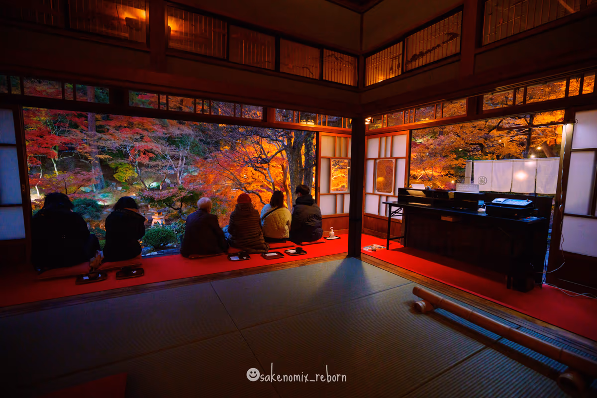 投稿写真：🧝‍♀️徳明園紅葉ライトアップ ✨💚💛❤️