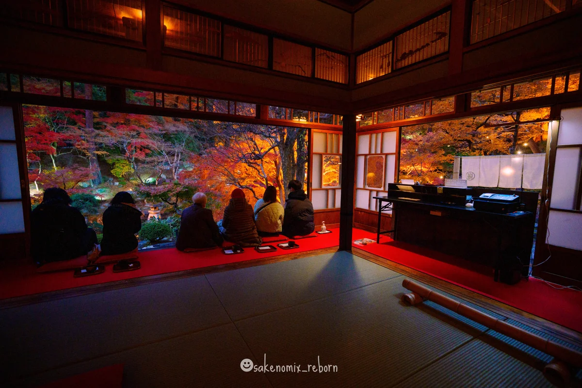 投稿写真：🧝‍♀️徳明園紅葉ライトアップ ✨💚💛❤️