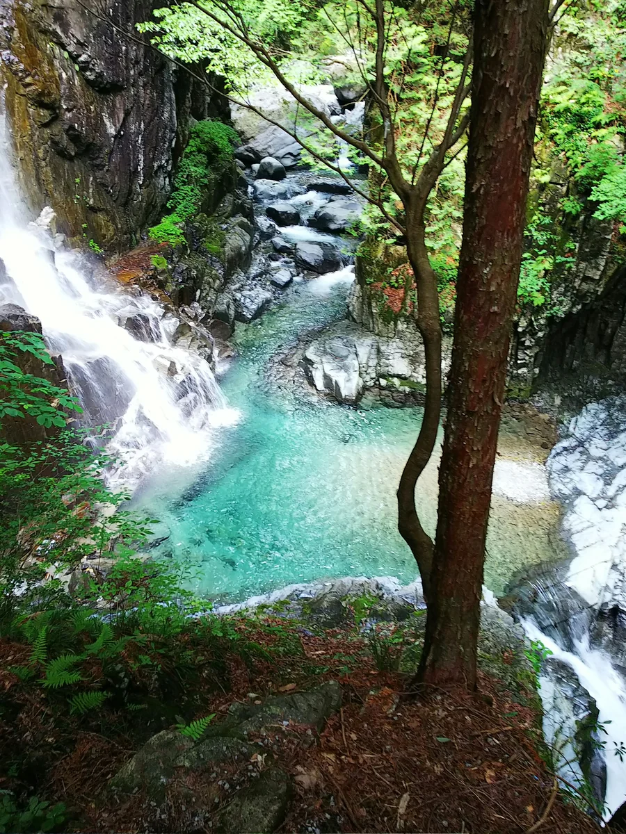 投稿写真：清流の透明感