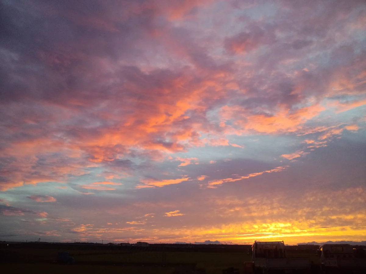 投稿写真：夕焼け