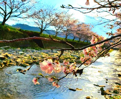  | 絶景事典
