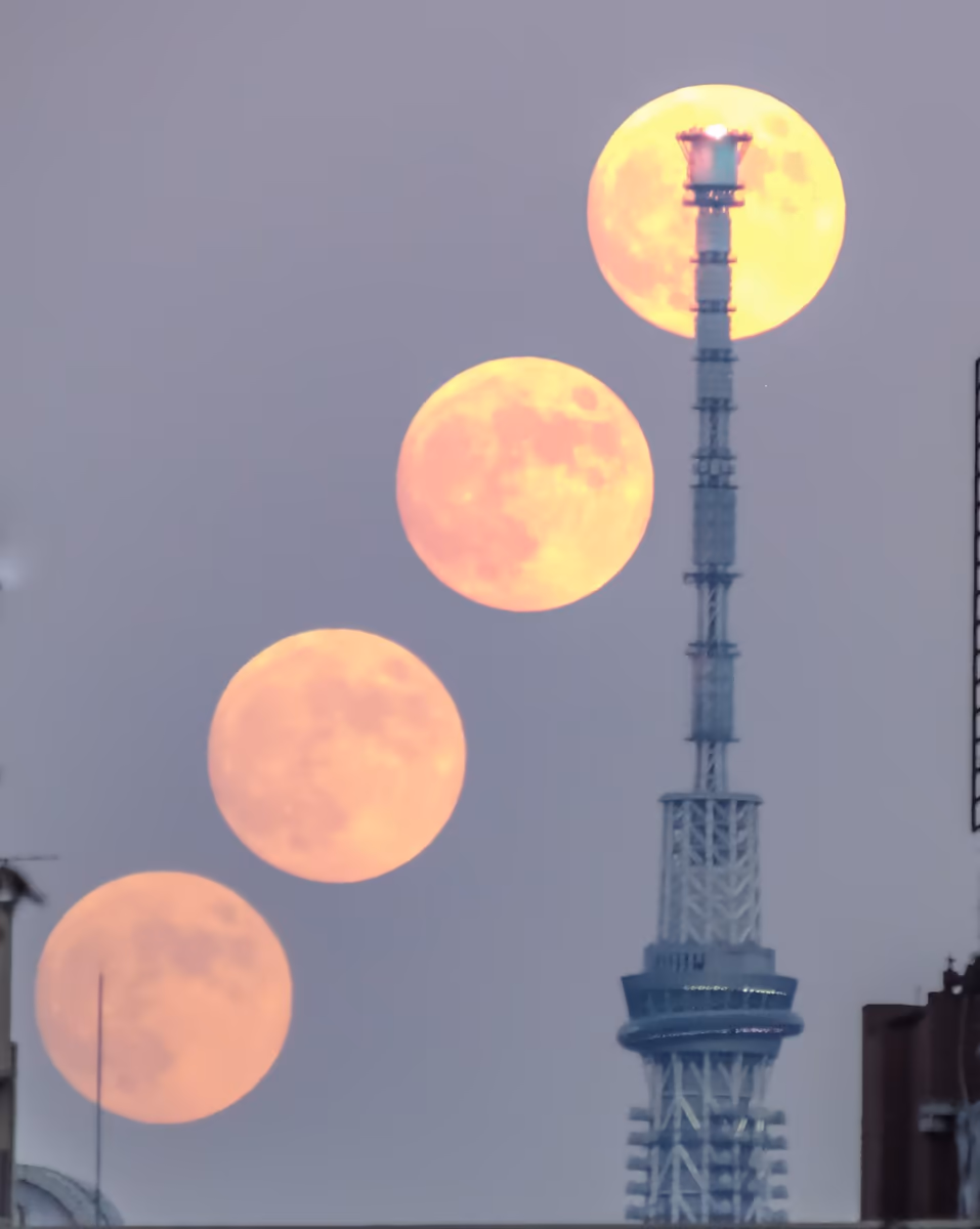 投稿写真：スカイツリーの天辺目指して昇る十四夜月