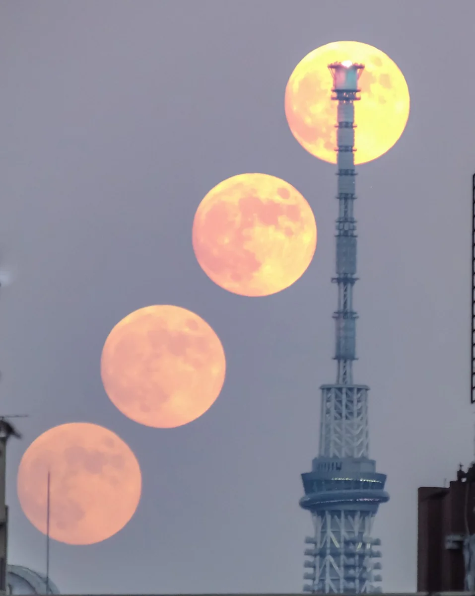 投稿写真：スカイツリーの天辺目指して昇る十四夜月