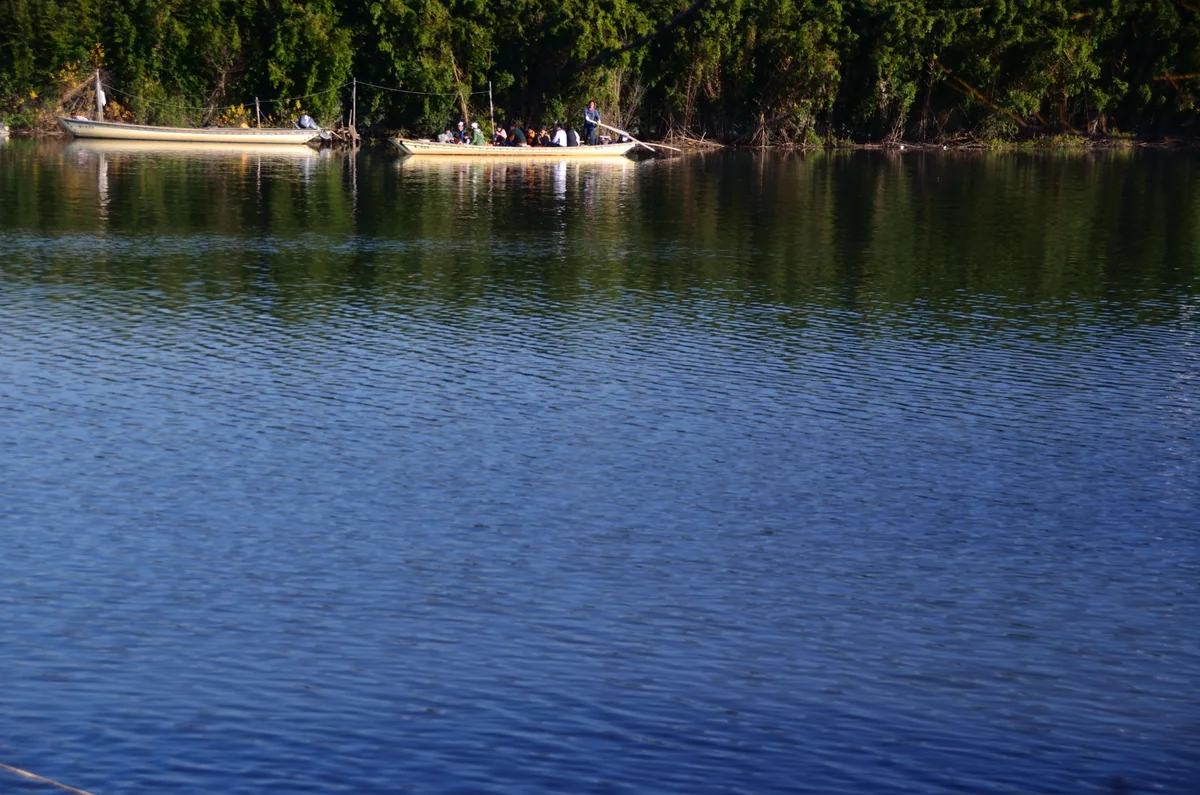 投稿写真：矢切の渡し