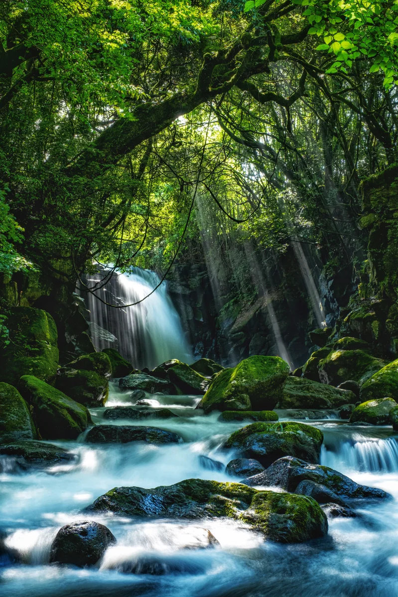 投稿写真：夫婦滝