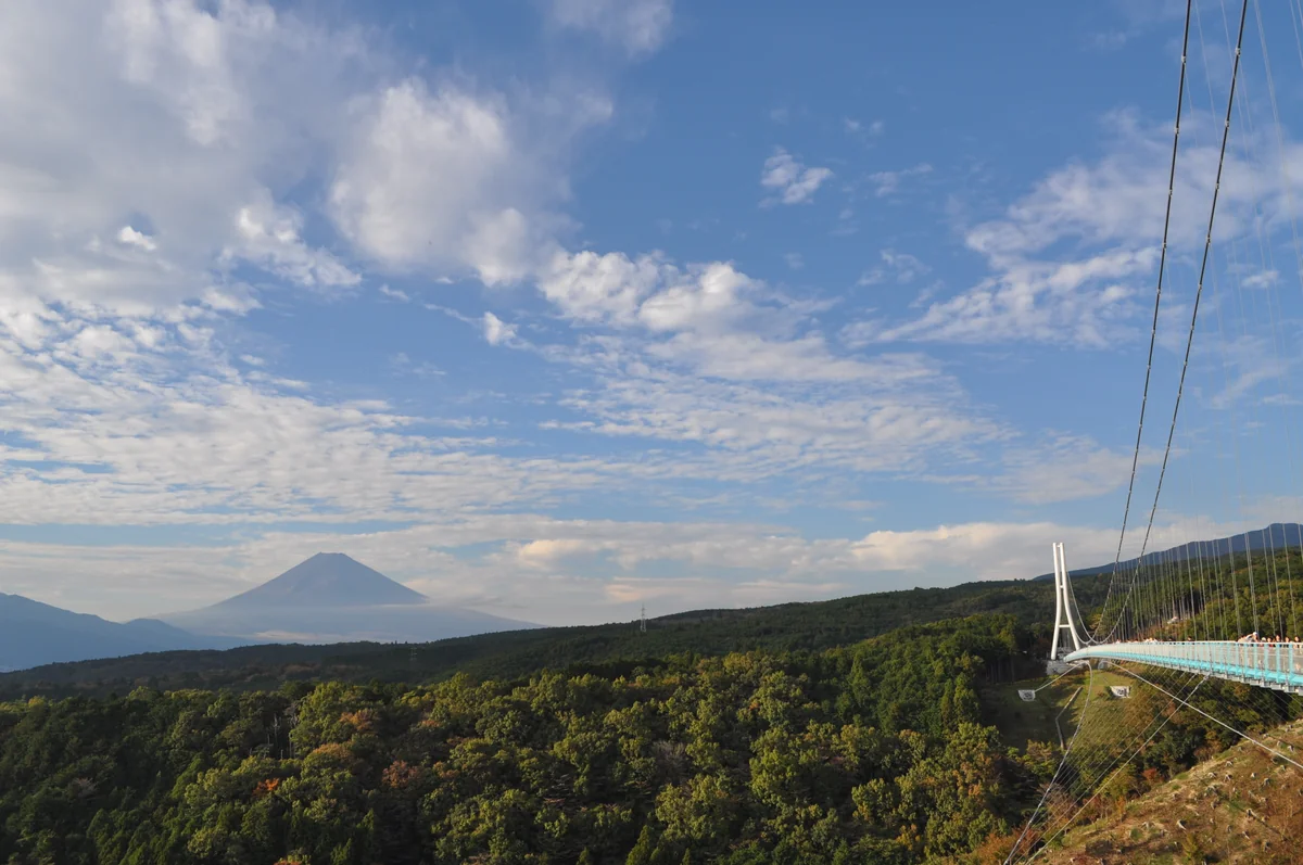 投稿写真：スカイウォーク