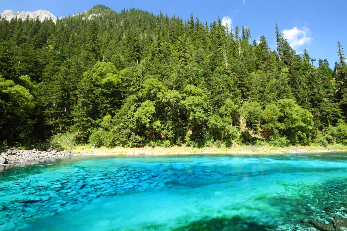 投稿写真：九寨溝　五彩池