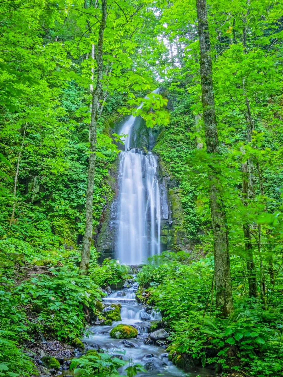 投稿写真：新緑の雲井の滝