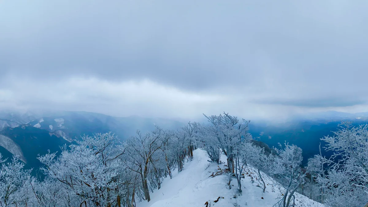 投稿写真：❄️霧氷❄️を求めて 関西のマッターホルン高見山
