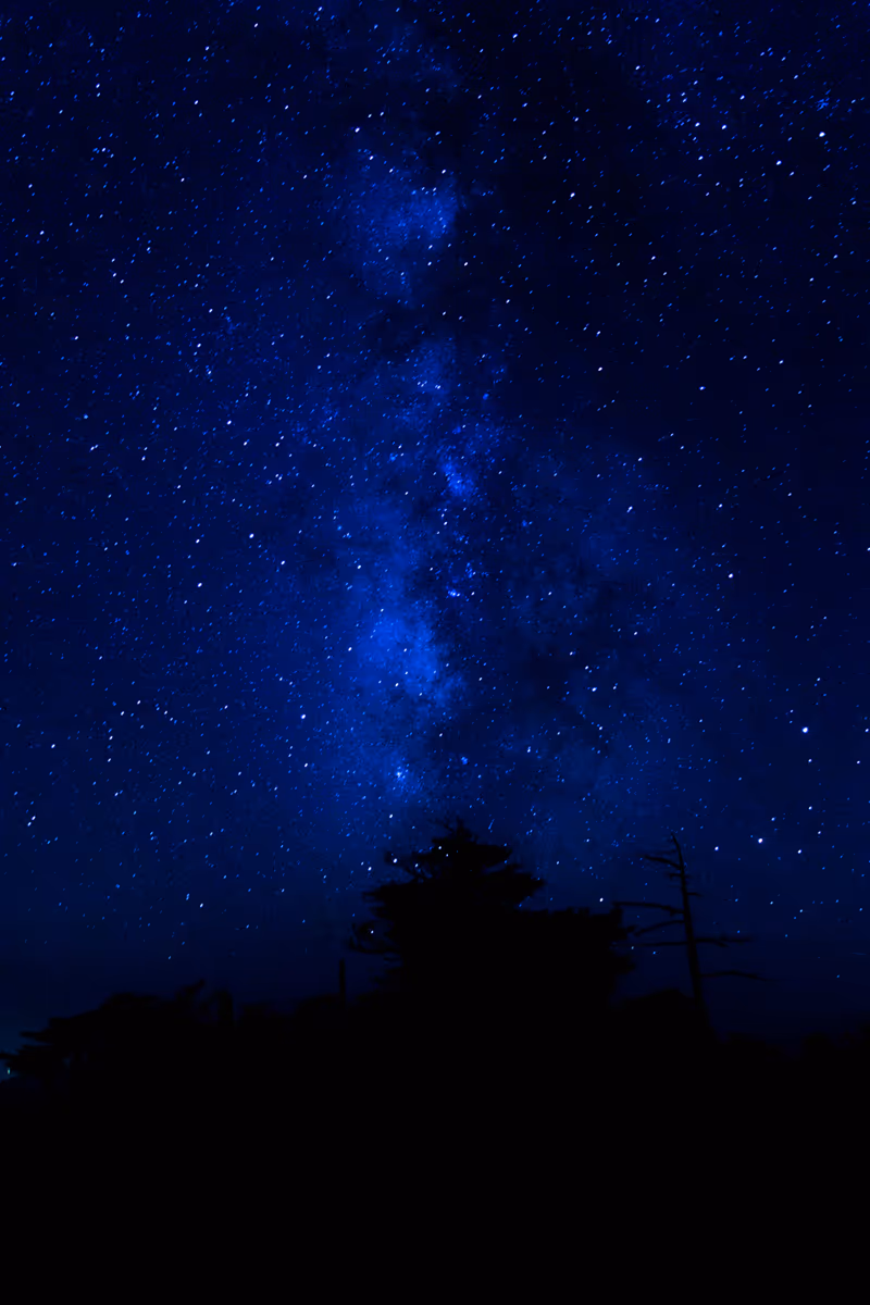 投稿写真：七夕の夜