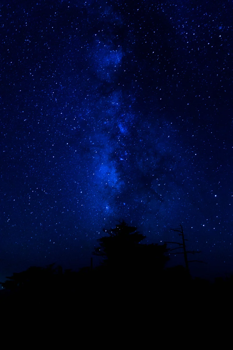 投稿写真：七夕の夜