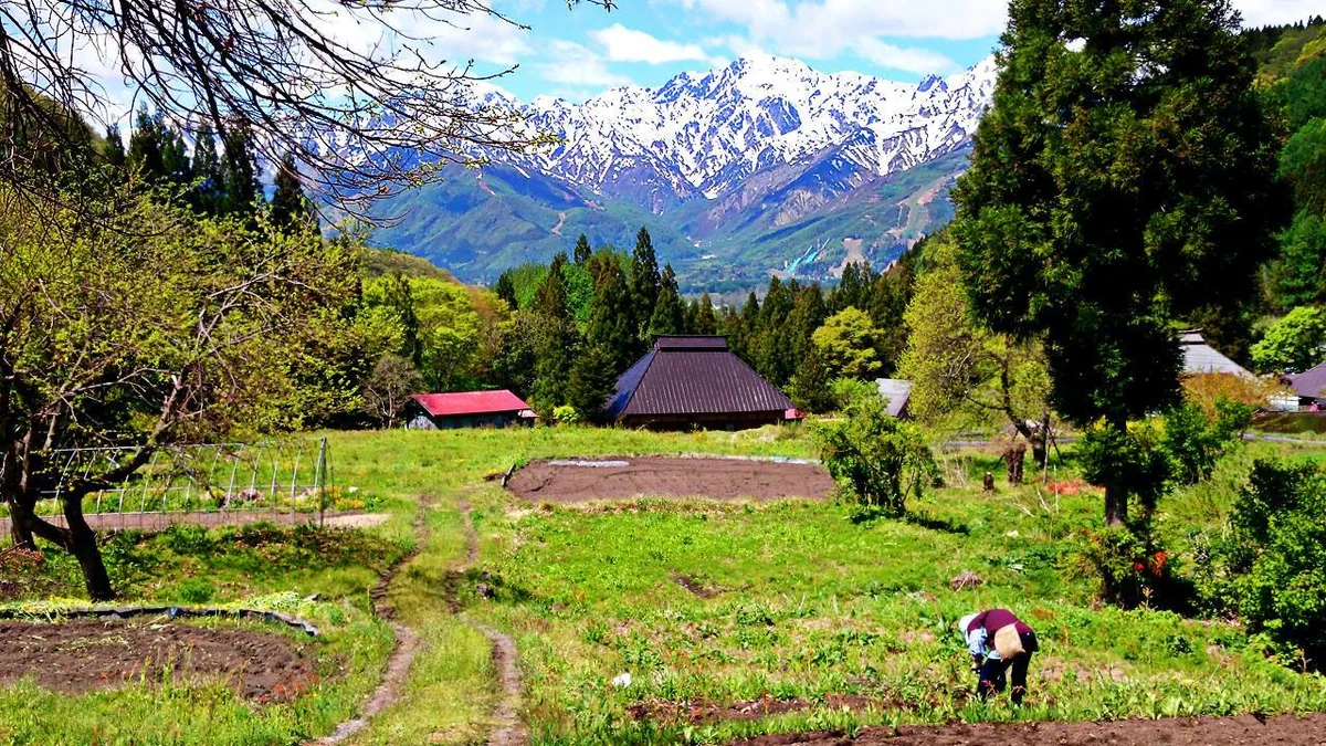 投稿写真：野良仕事