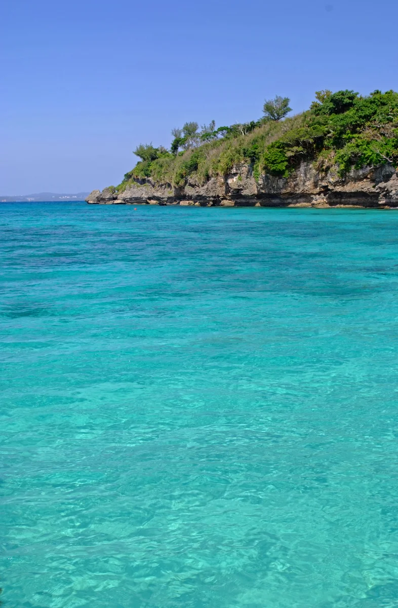 投稿写真：美ら海、ここに