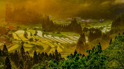 魅力あふれる棚田の風景のメイン画像