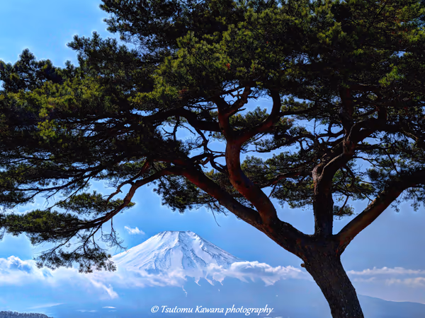 投稿：日本は富士山の国♬