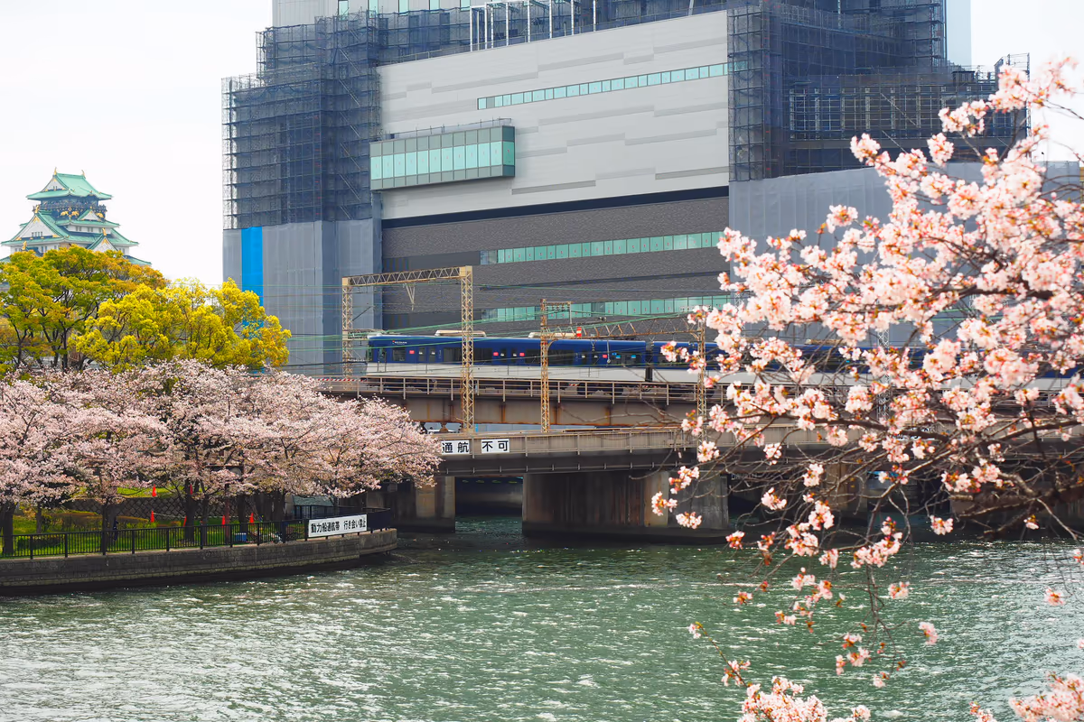 投稿写真：川辺の桜