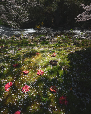  | 絶景事典