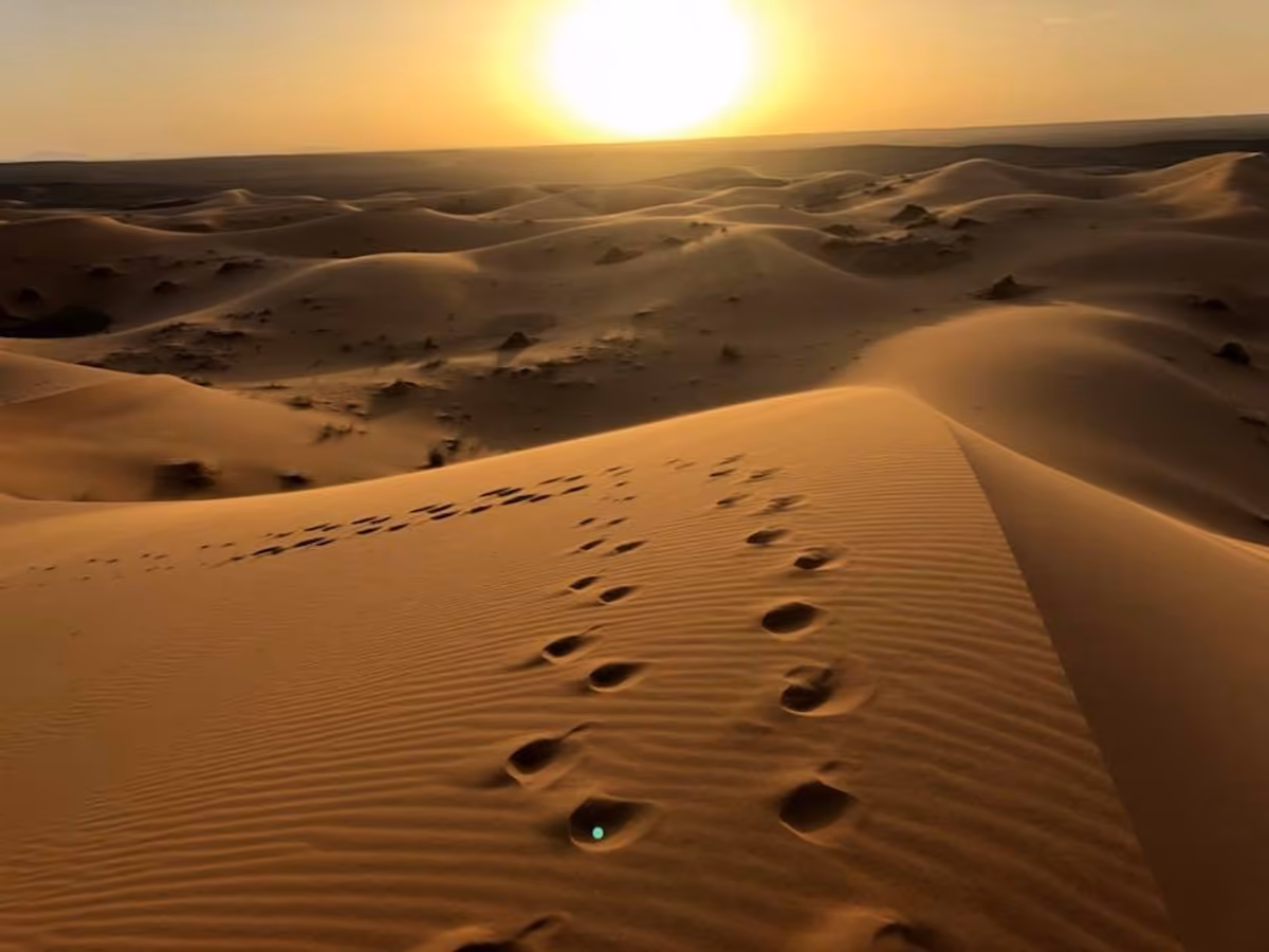 投稿写真：SAND