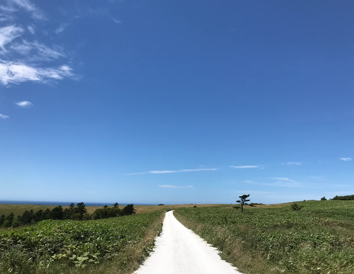 投稿写真：宗谷丘陵シェルロード（白い道）