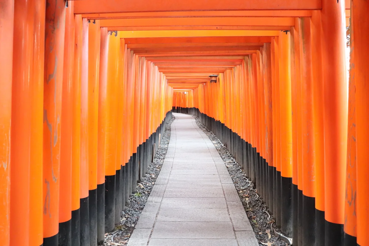 投稿写真：伏見稲荷大社 千本鳥居