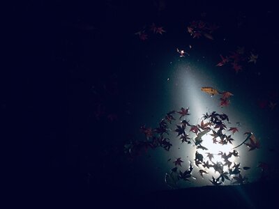  | 絶景事典