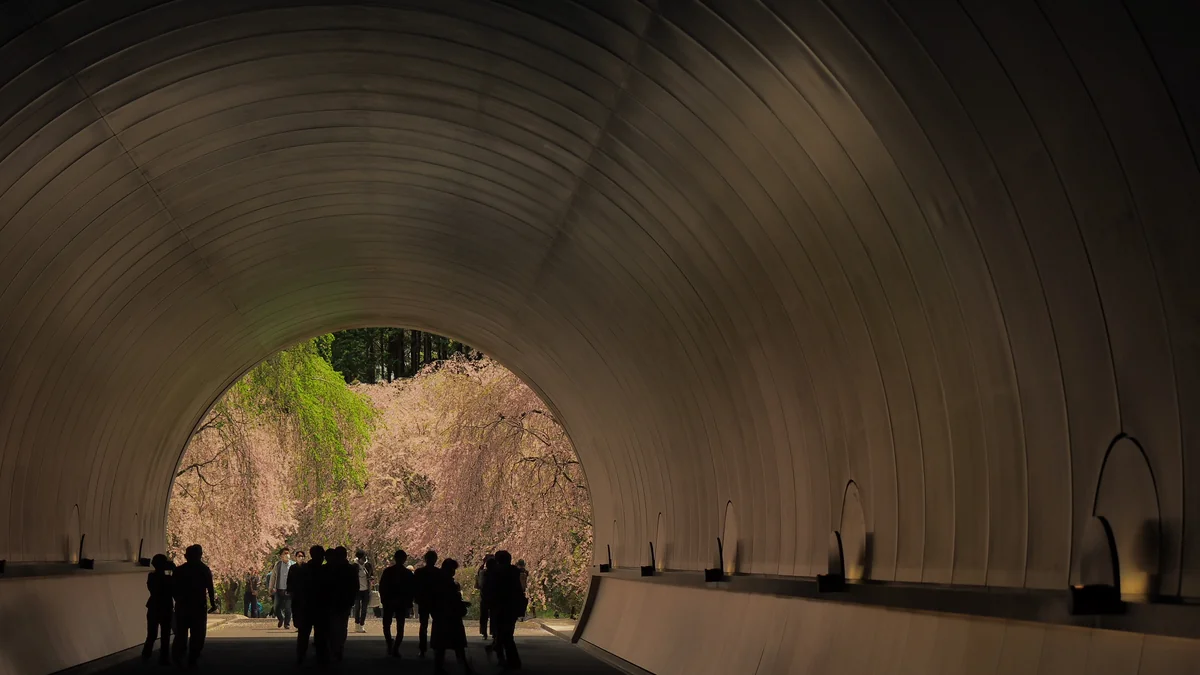 投稿写真：トンネルの向こう