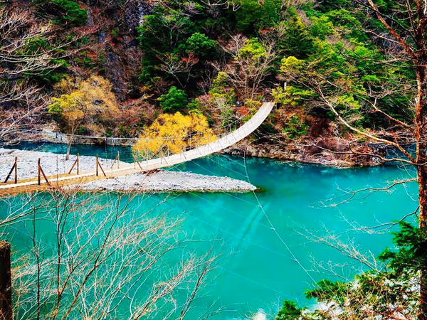 投稿：夢の吊り橋　寸又峡