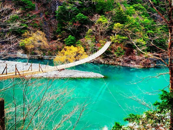 投稿：夢の吊り橋　寸又峡