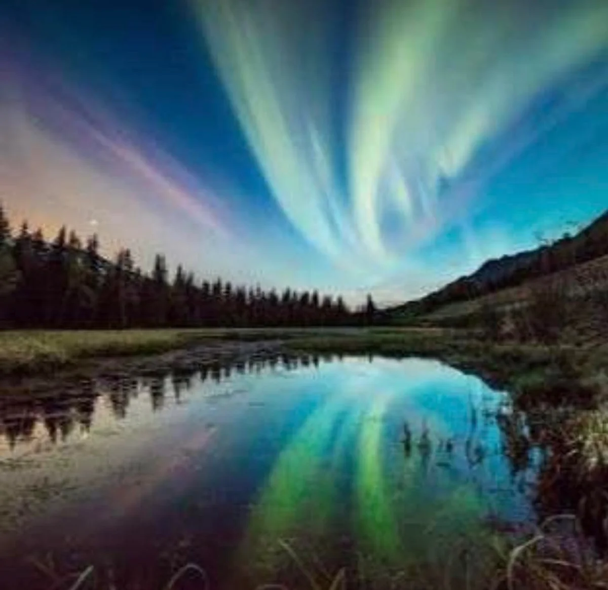 投稿写真：アラスカ