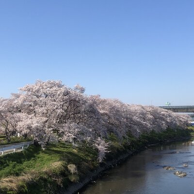  | 絶景事典