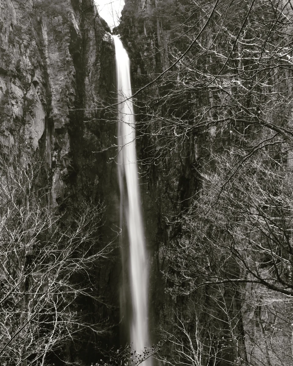 投稿写真：米子大瀑布　権現滝