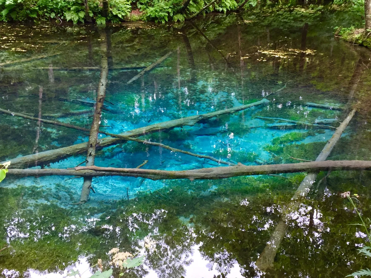 投稿写真：神の子池