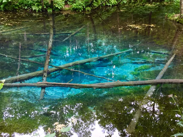 投稿：神の子池