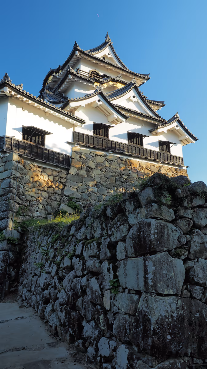 投稿写真：彦根城天守閣