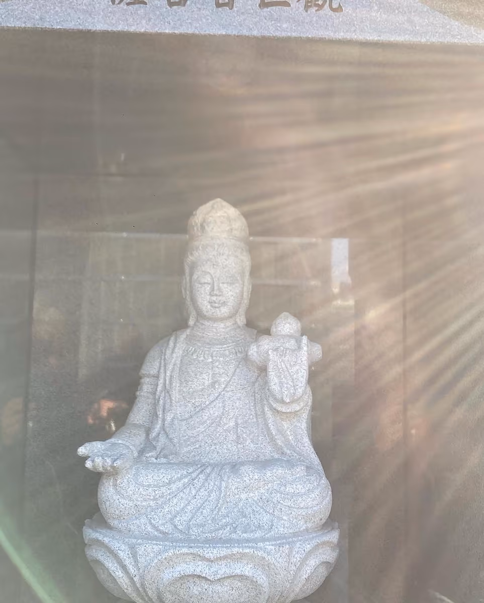 投稿写真：物者言皆MIGENTEA🤗