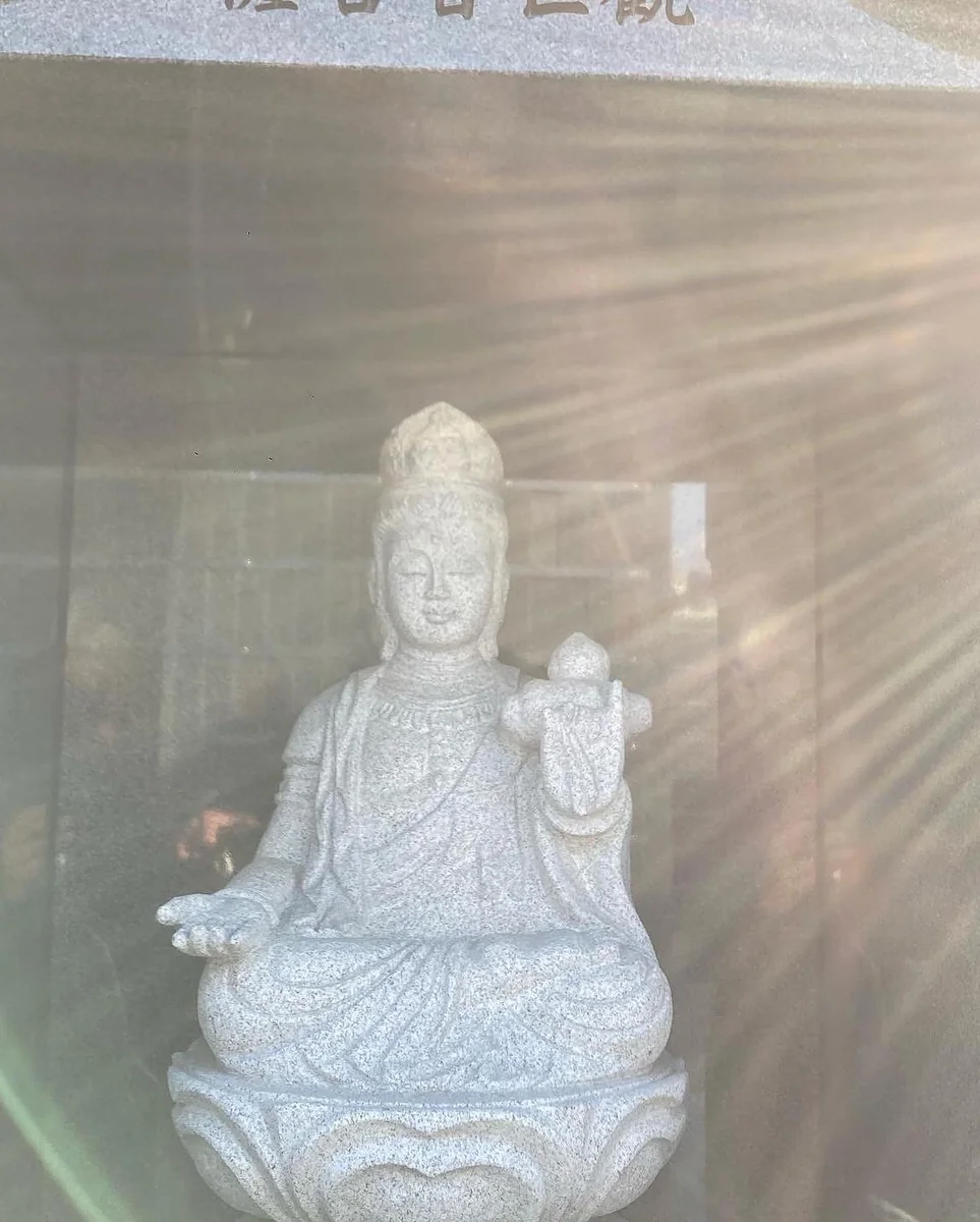 投稿写真：物者言皆MIGENTEA🤗