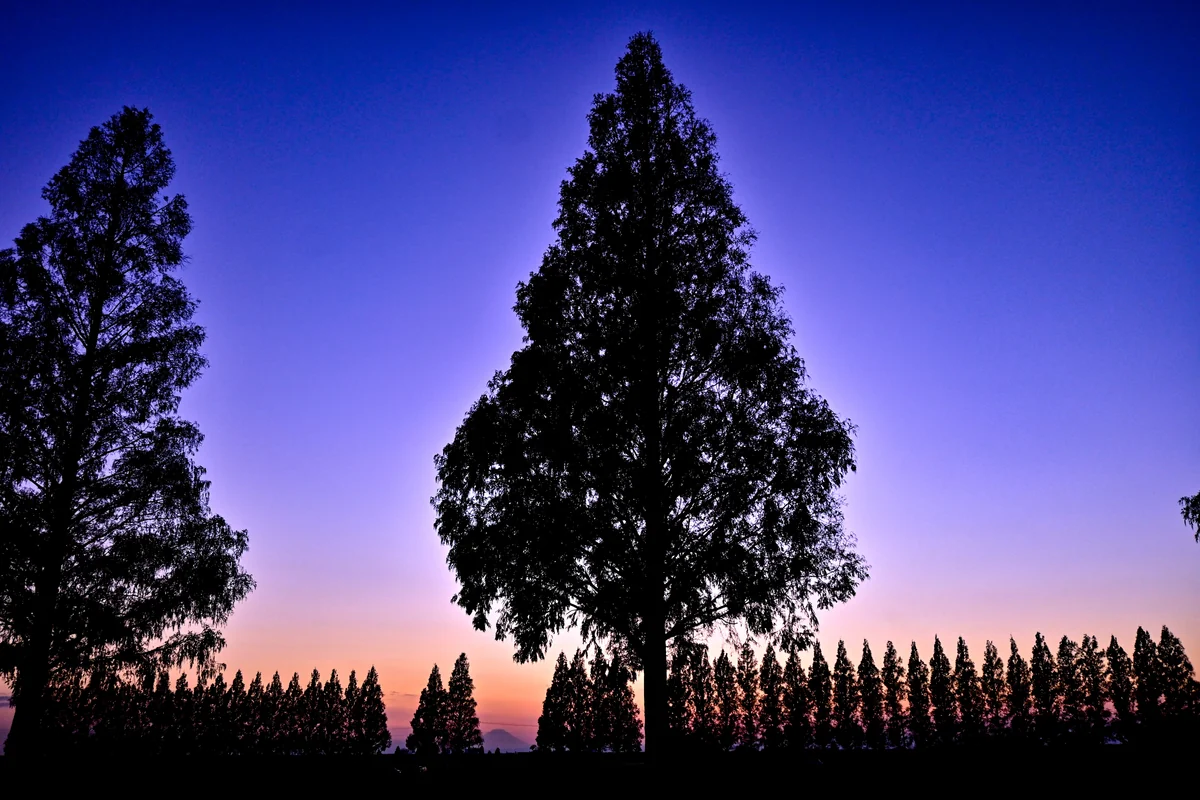 投稿写真：残照