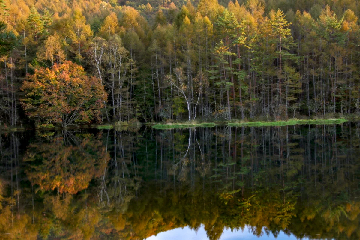 投稿写真：御射鹿池