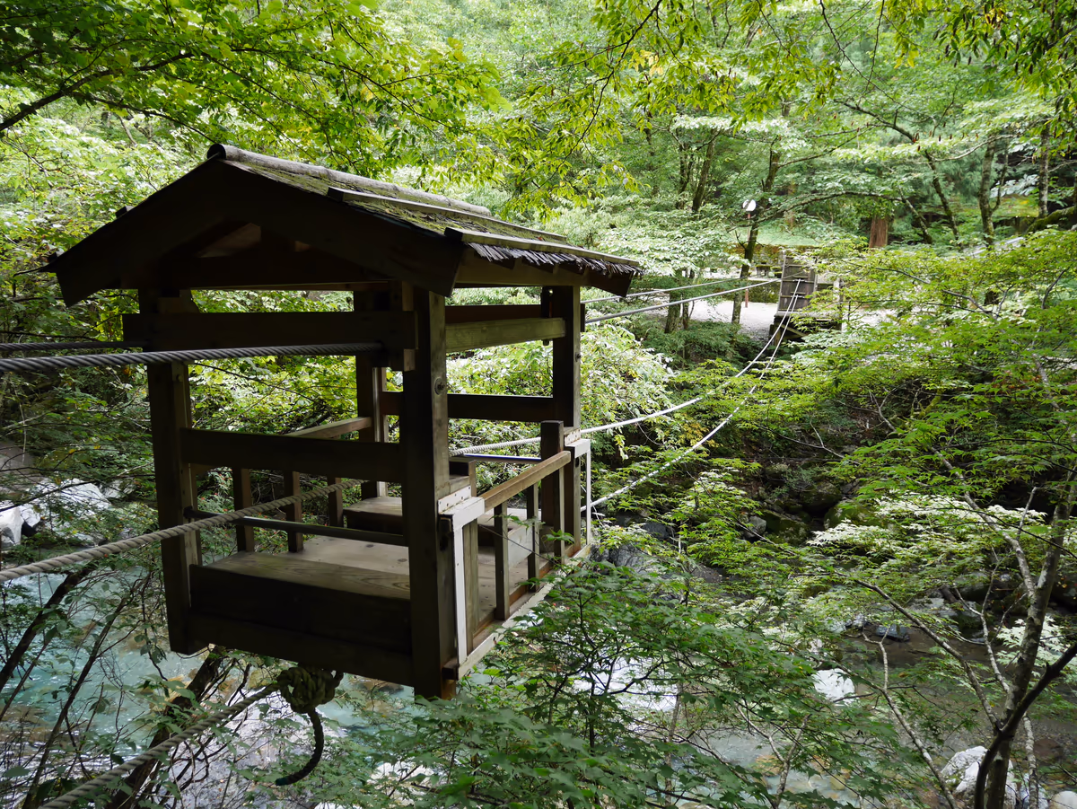 投稿写真：014野猿（徳島）