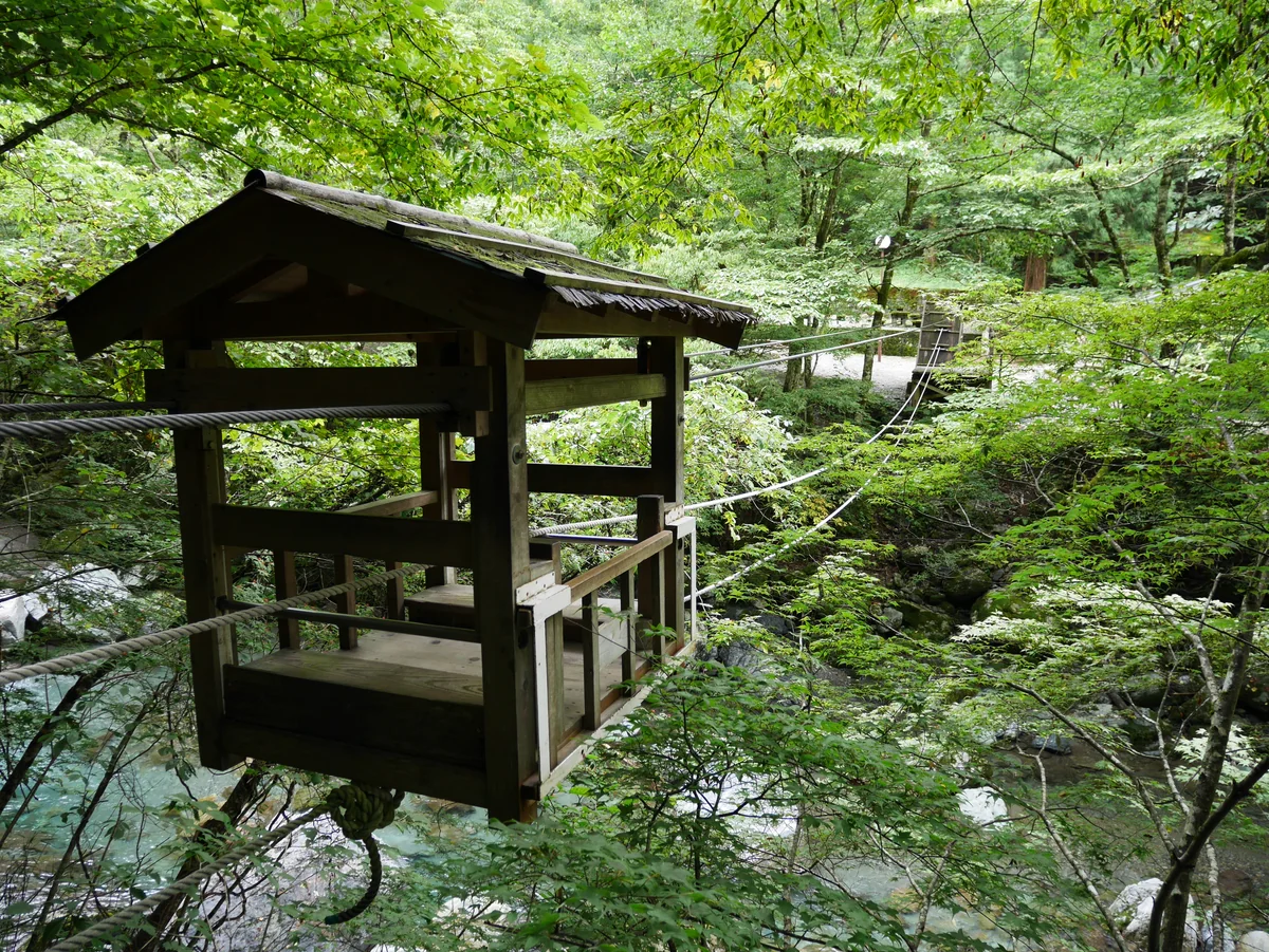 投稿写真：014野猿（徳島）