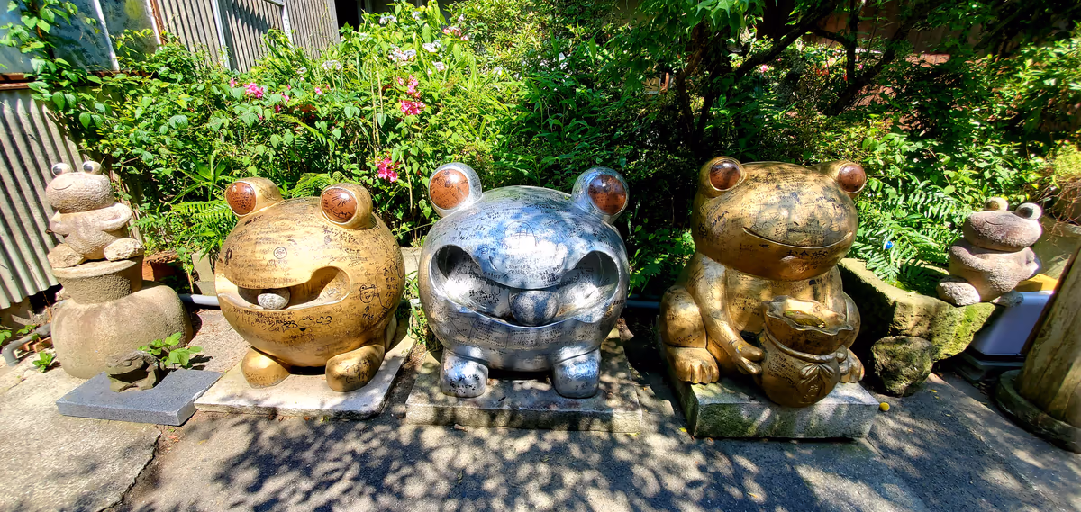 投稿写真：たくさんのかえる
