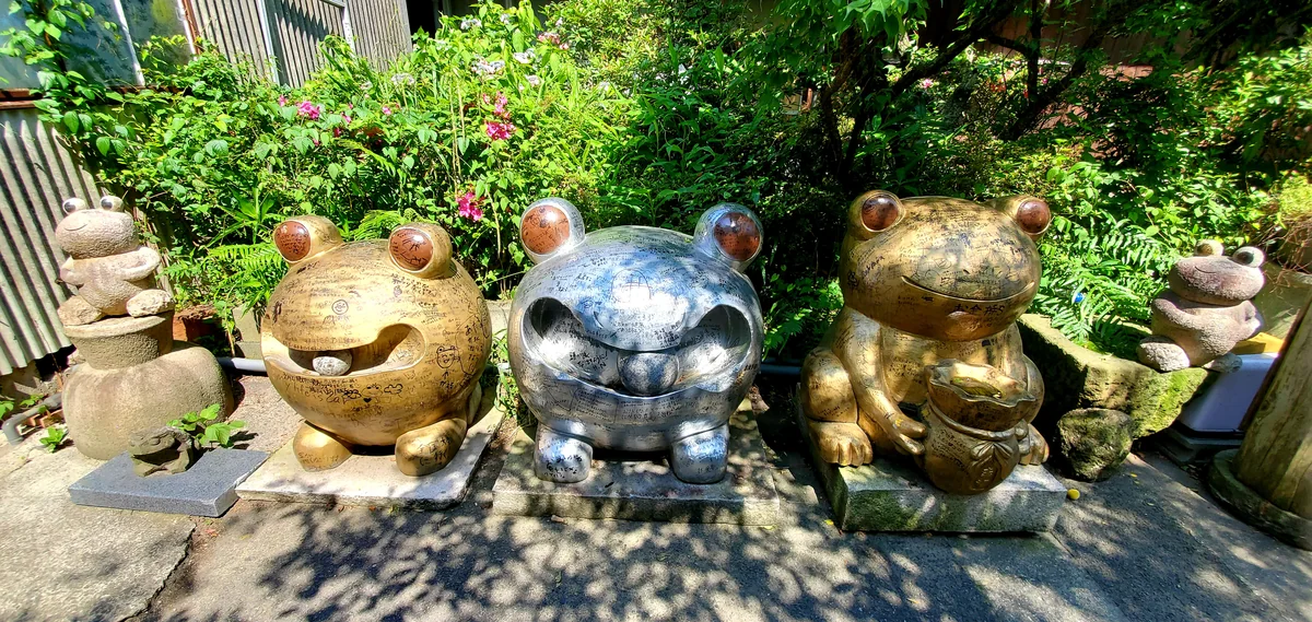 投稿写真：たくさんのかえる