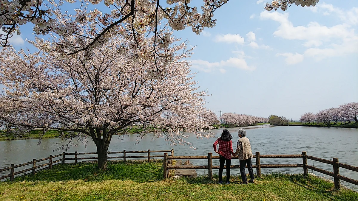 投稿写真：母のいる絶景