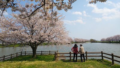  | 絶景事典