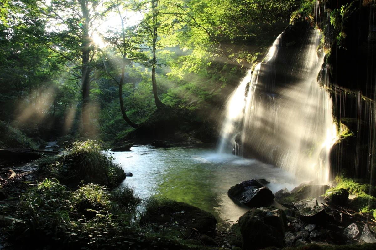 投稿写真：光の滝