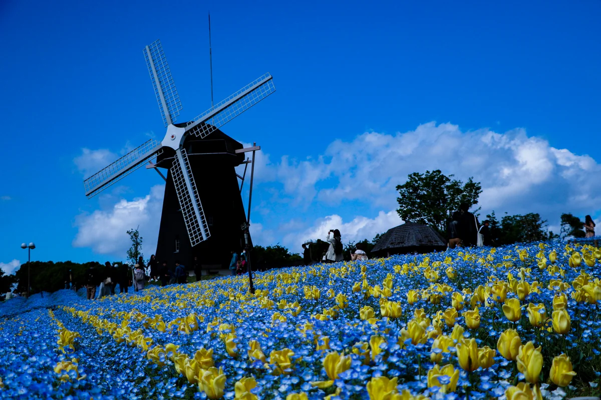 投稿写真：平成最後の風景