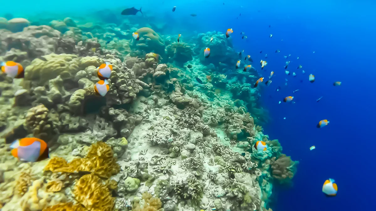 投稿写真：Big Drop Off