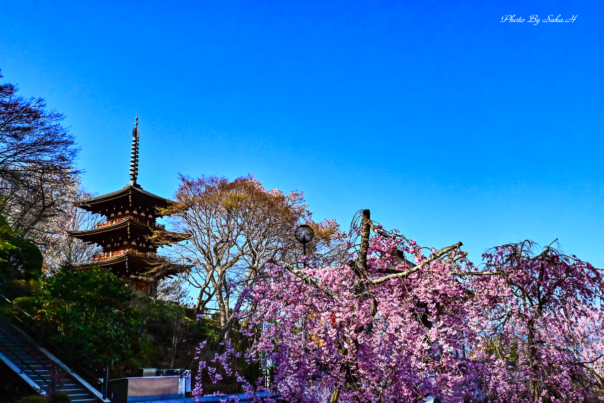 投稿写真：岡寺