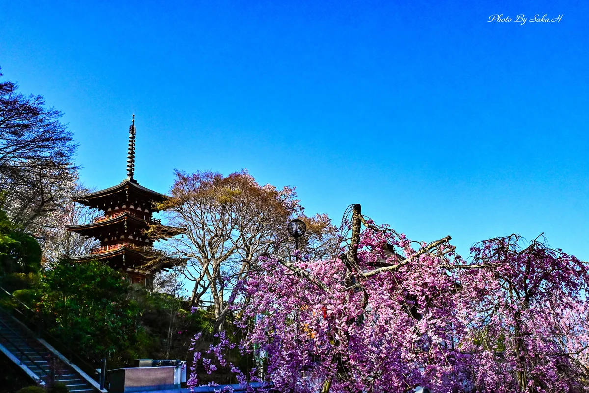 投稿写真：岡寺