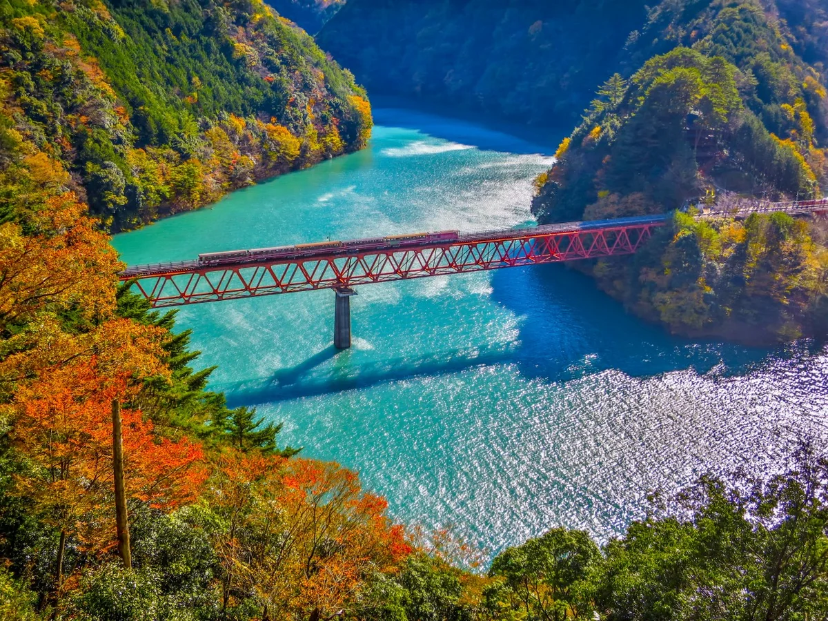 投稿写真：秋のレインボーブリッジを渡る井川線の列車